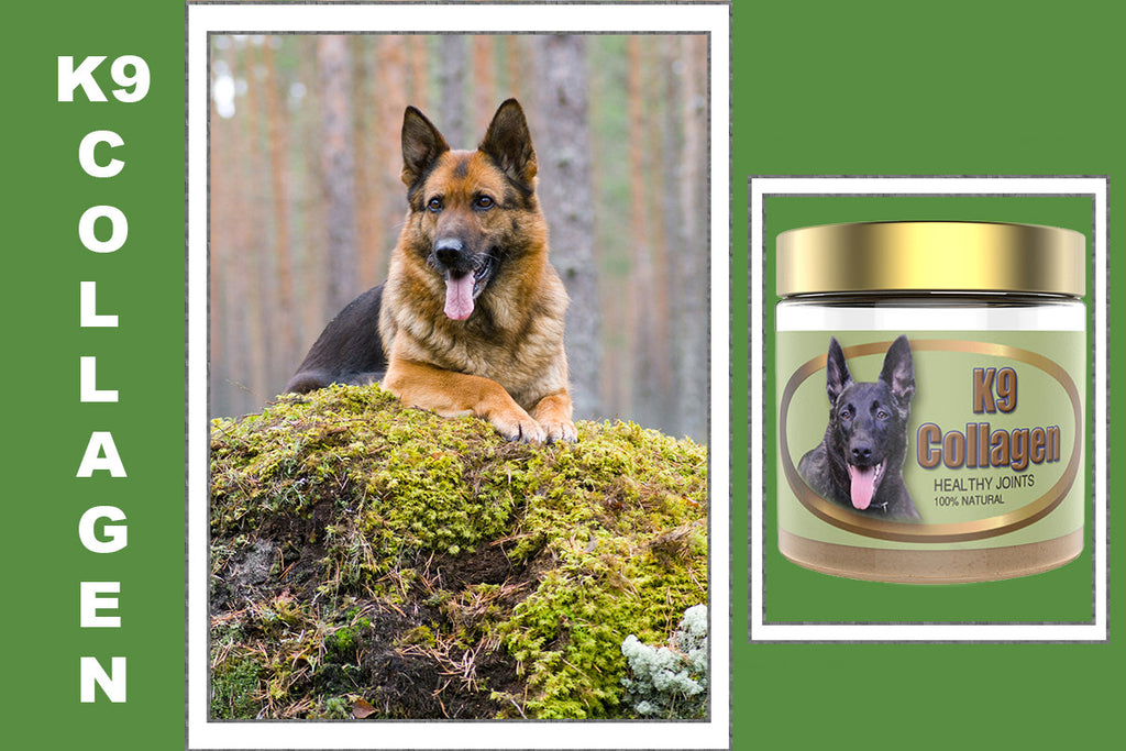 K9 Collagen Hip And Joint Supplement For Curing Joint Pain Dogs